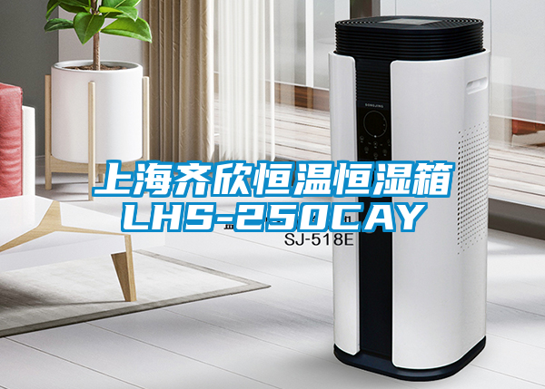 欧美成色手机在线观看 上海齐欣恒温恒湿箱LHS-250CAY