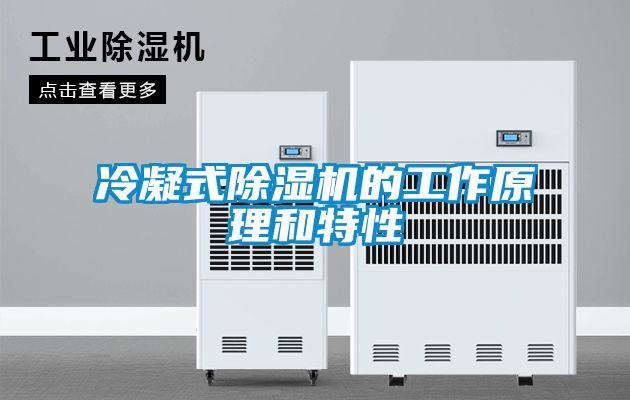 欧美黄色电影在线播放 冷凝式除湿机的工作原理和特性
