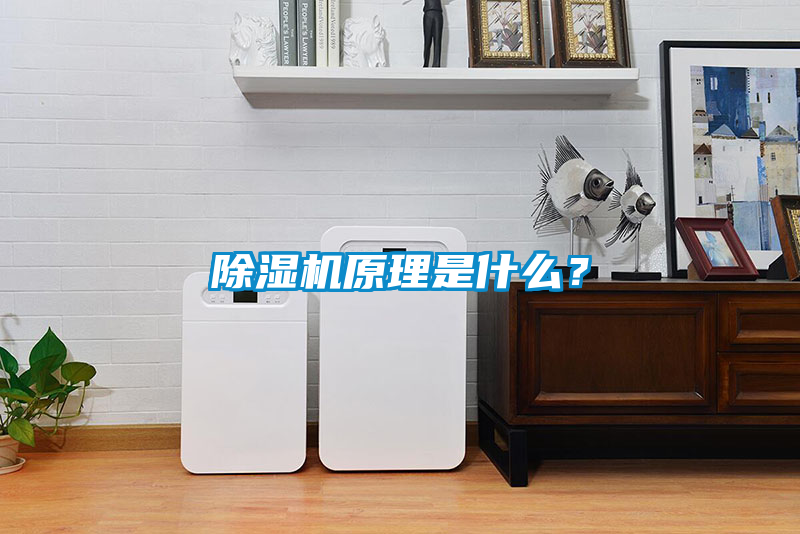 欧美黄色性爱视频网站 除湿机原理是什么？