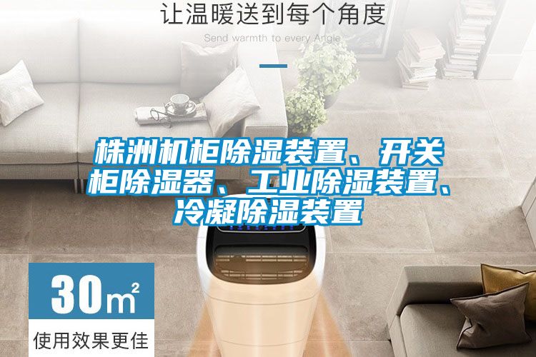 欧美黄色性爱视频网站 株洲机柜除湿装置、开关柜除湿器、工业除湿装置、冷凝除湿装置