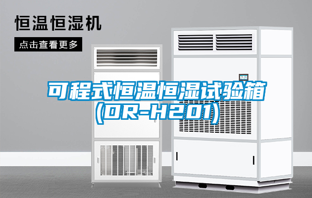 欧美成色手机在线观看 可程式恒温恒湿试验箱(DR-H201)