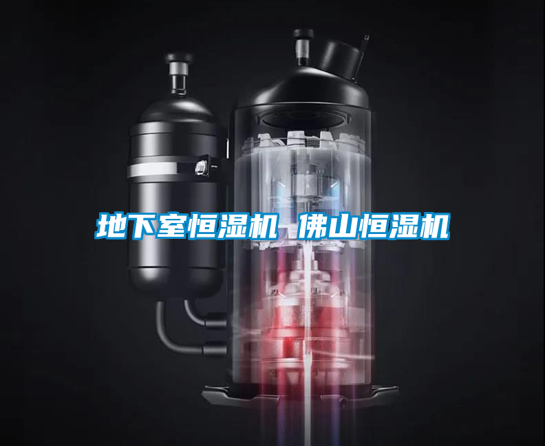 欧美黄色电影在线播放 地下室恒湿机 佛山恒湿机