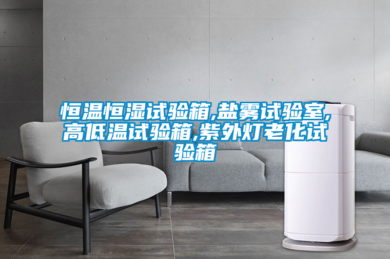 欧美黄色电影在线播放 恒温恒湿试验箱,盐雾试验室,高低温试验箱,紫外灯老化试验箱