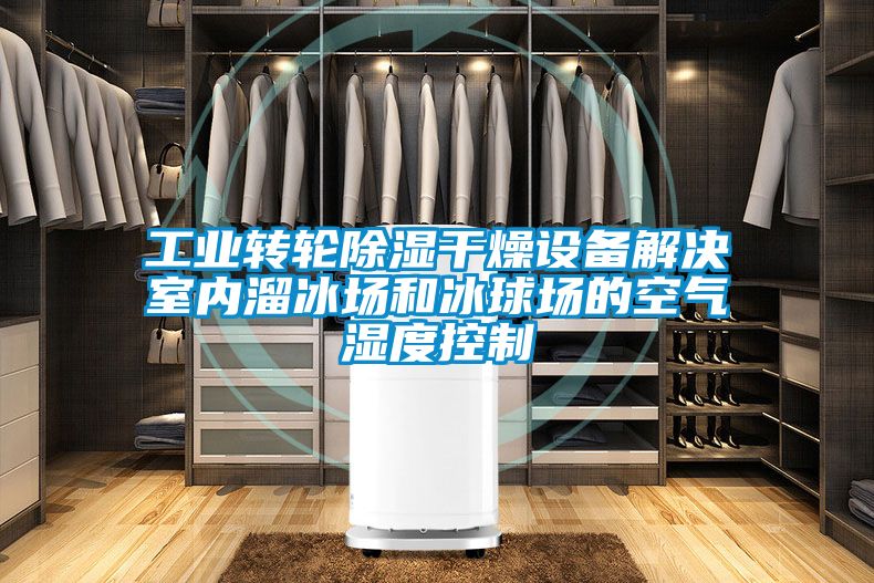 欧美成色手机在线观看 工业转轮除湿干燥设备解决室内溜冰场和冰球场的空气湿度控制
