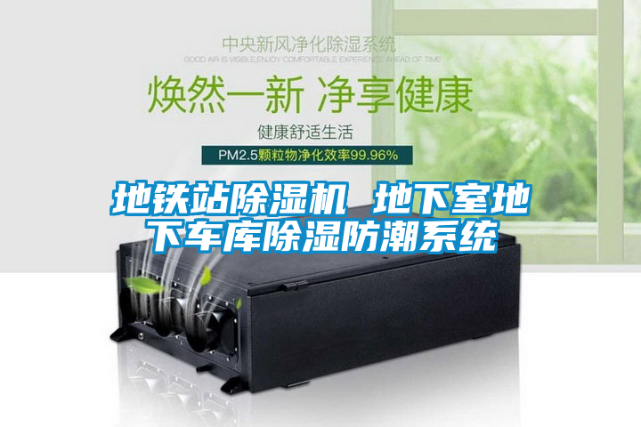 欧美成色手机在线观看 地铁站除湿机 地下室地下车库除湿防潮系统