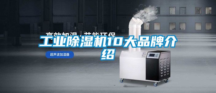 欧美成色手机在线观看 工业除湿机10大品牌介绍