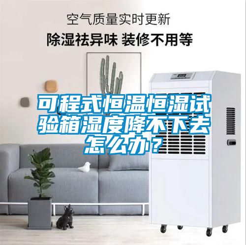 欧美黄色电影在线播放 可程式恒温恒湿试验箱湿度降不下去怎么办？