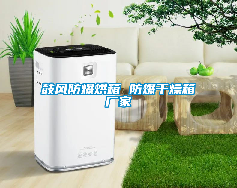 欧美成色手机在线观看 鼓风防爆烘箱 防爆干燥箱厂家