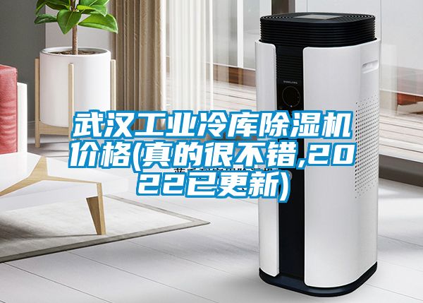 欧美黄色电影在线播放 武汉工业冷库除湿机价格(真的很不错,2022已更新)