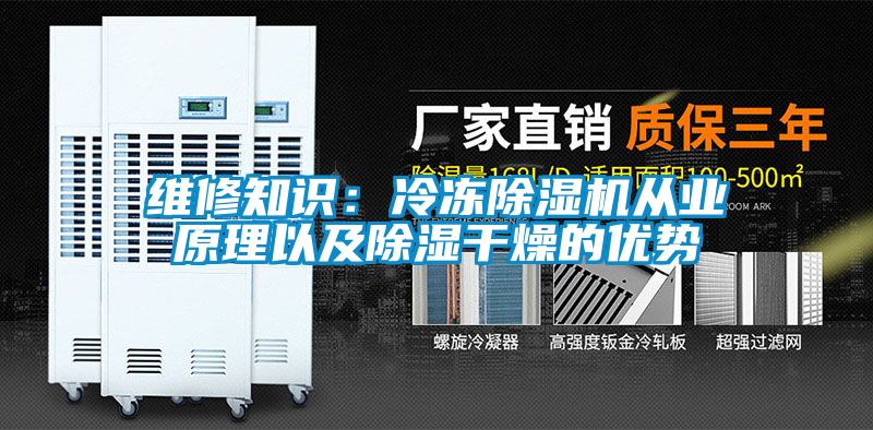 欧美黄色性爱视频网站 维修知识：冷冻除湿机从业原理以及除湿干燥的优势