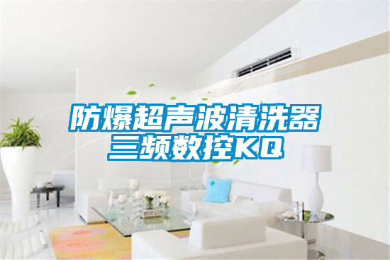 欧美黄色性爱视频网站 防爆超声波清洗器三频数控KQ