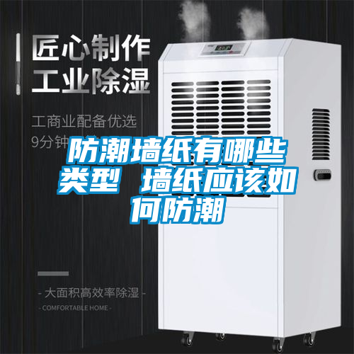 欧美黄色性爱视频网站 防潮墙纸有哪些类型 墙纸应该如何防潮