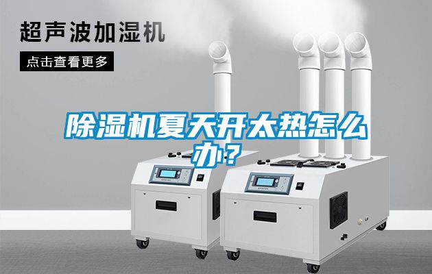 欧美黄色性爱视频网站 除湿机夏天开太热怎么办？