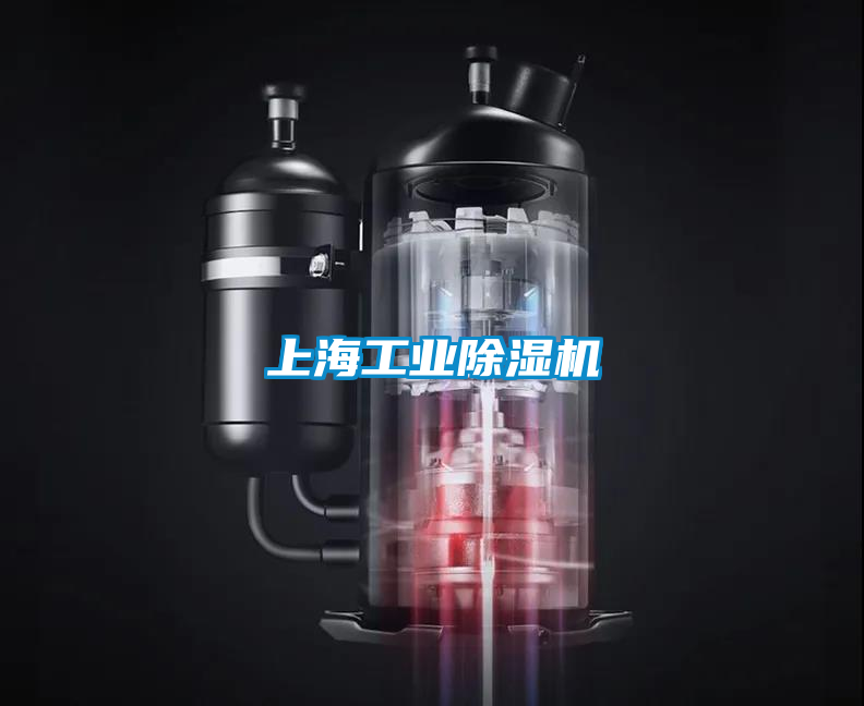 欧美黄色性爱视频网站 上海工业除湿机