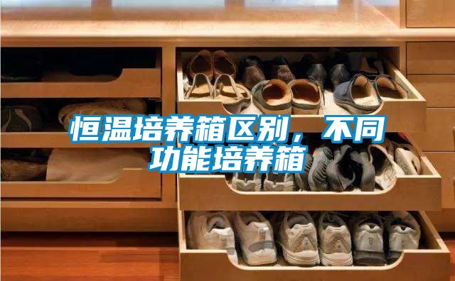 欧美成色手机在线观看 恒温培养箱区别，不同功能培养箱