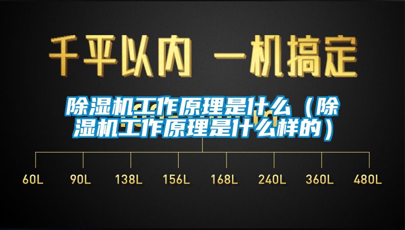 欧美成色手机在线观看 除湿机工作原理是什么（除湿机工作原理是什么样的）