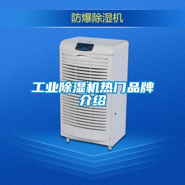 欧美黄色性爱视频网站 工业除湿机热门品牌介绍