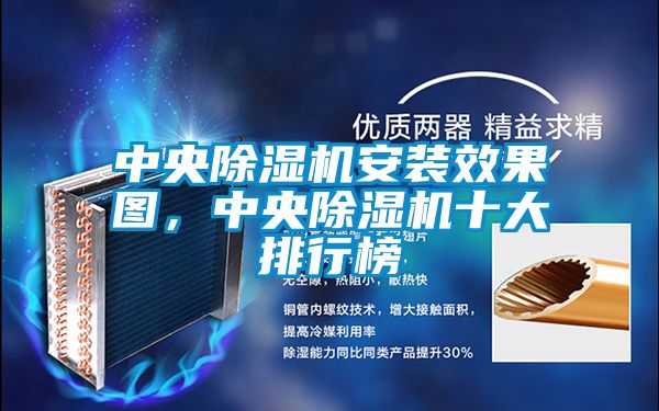 欧美黄色电影在线播放 中央除湿机安装效果图，中央除湿机十大排行榜