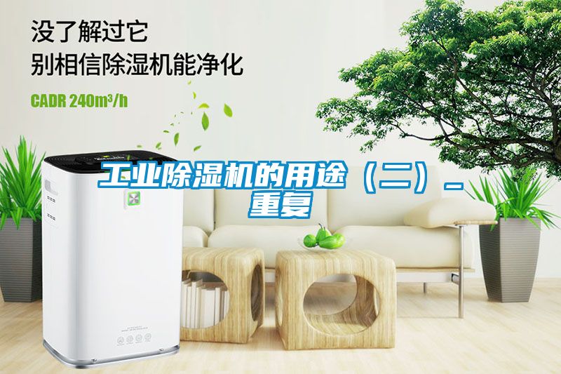欧美成色手机在线观看 工业除湿机的用途（二）_重复