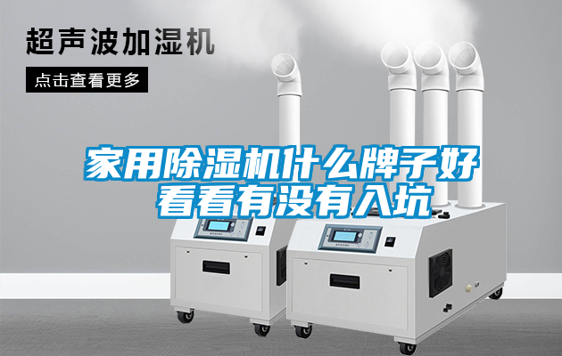 欧美黄色性爱视频网站 家用除湿机什么牌子好 看看有没有入坑