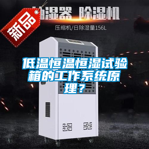 欧美黄色电影在线播放 低温恒温恒湿试验箱的工作系统原理？