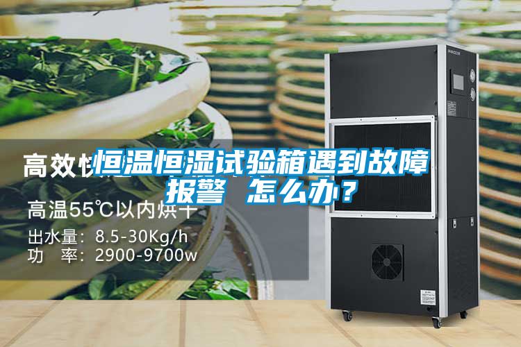 欧美成色手机在线观看 恒温恒湿试验箱遇到故障报警 怎么办？