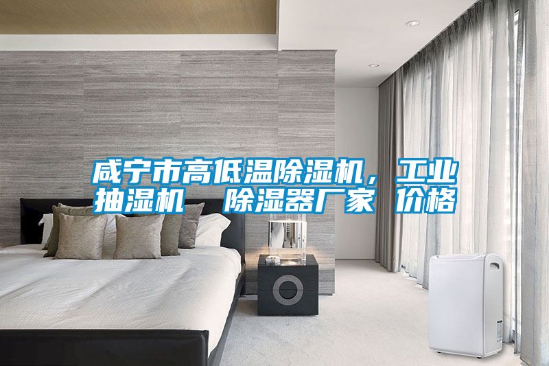 欧美成色手机在线观看 咸宁市高低温除湿机，工业抽湿机  除湿器厂家 价格