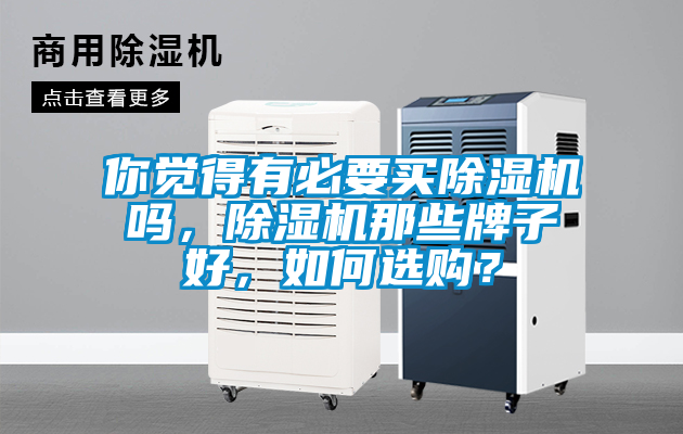 欧美黄色性爱视频网站 你觉得有必要买除湿机吗，除湿机那些牌子好，如何选购？