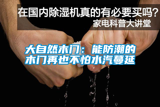 欧美成色手机在线观看 大自然木门：能防潮的木门再也不怕水汽蔓延