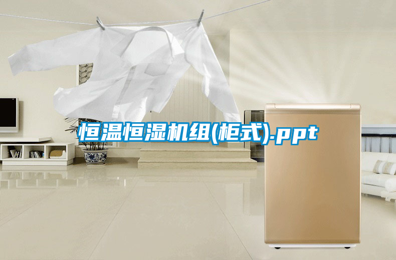 欧美黄色性爱视频网站 恒温恒湿机组(柜式).ppt