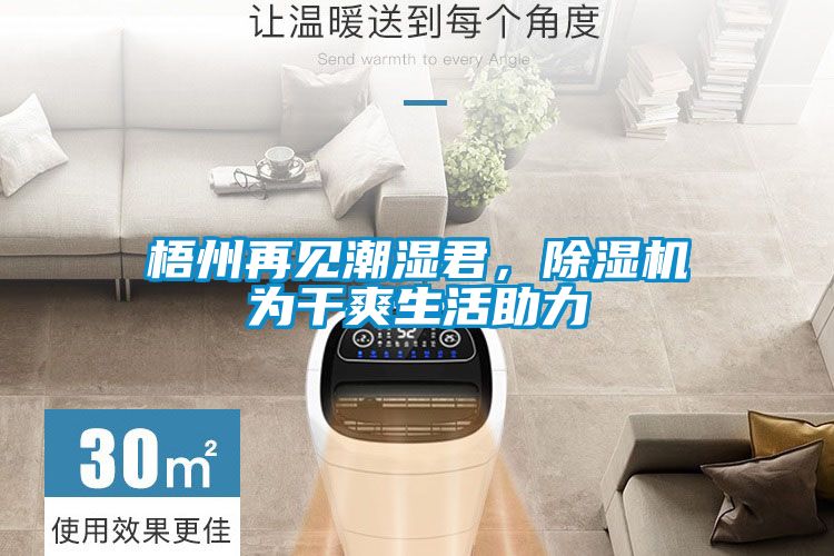 欧美成色手机在线观看 梧州再见潮湿君，除湿机为干爽生活助力