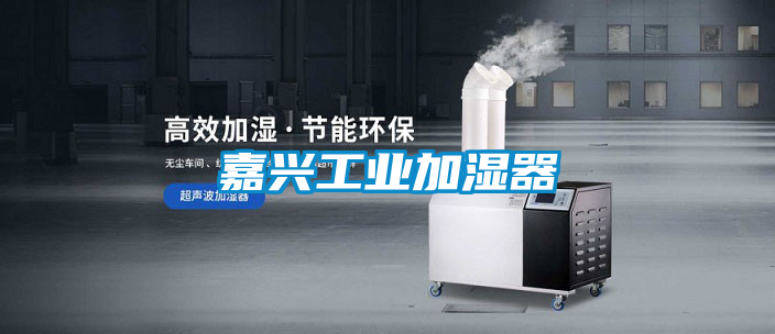 欧美成色手机在线观看 嘉兴工业加湿器