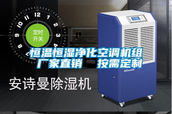 欧美黄色电影在线播放 恒温恒湿净化空调机组 厂家直销  按需定制