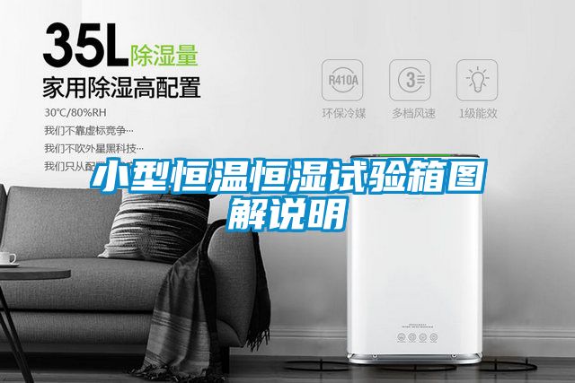 欧美黄色电影在线播放 小型恒温恒湿试验箱图解说明