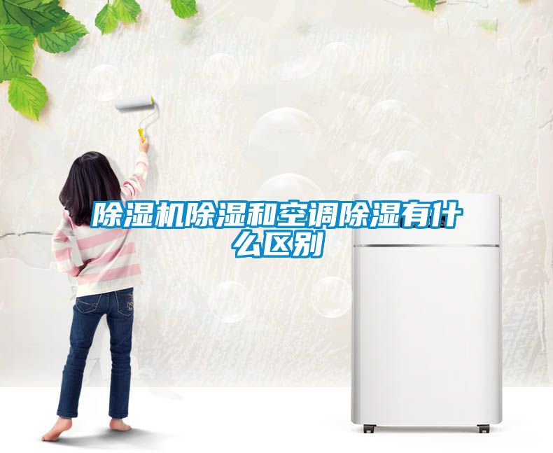 欧美黄色电影在线播放 除湿机除湿和空调除湿有什么区别