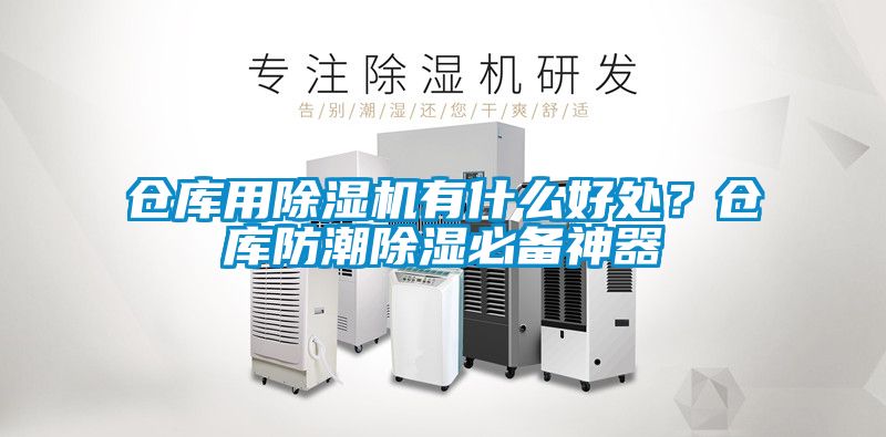 欧美成色手机在线观看 仓库用除湿机有什么好处？仓库防潮除湿必备神器