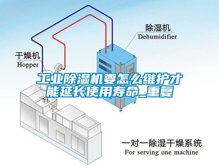 欧美黄色性爱视频网站 工业除湿机要怎么维护才能延长使用寿命_重复