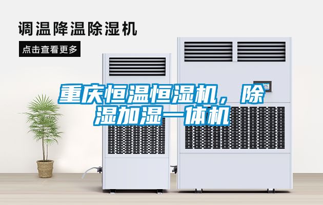 欧美黄色电影在线播放 重庆恒温恒湿机，除湿加湿一体机