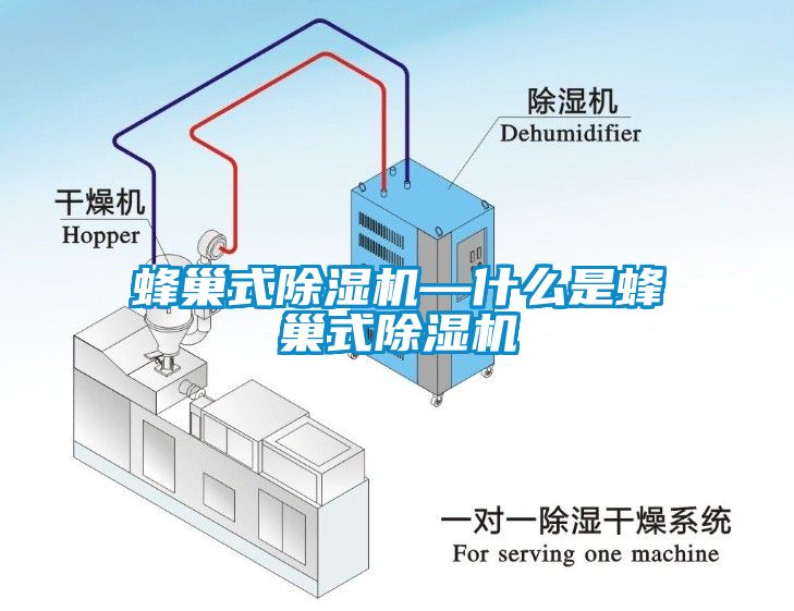 欧美成色手机在线观看 蜂巢式除湿机—什么是蜂巢式除湿机