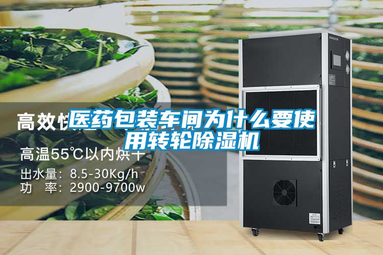 欧美黄色电影在线播放 医药包装车间为什么要使用转轮除湿机