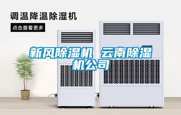 欧美黄色性爱视频网站 新风除湿机 云南除湿机公司