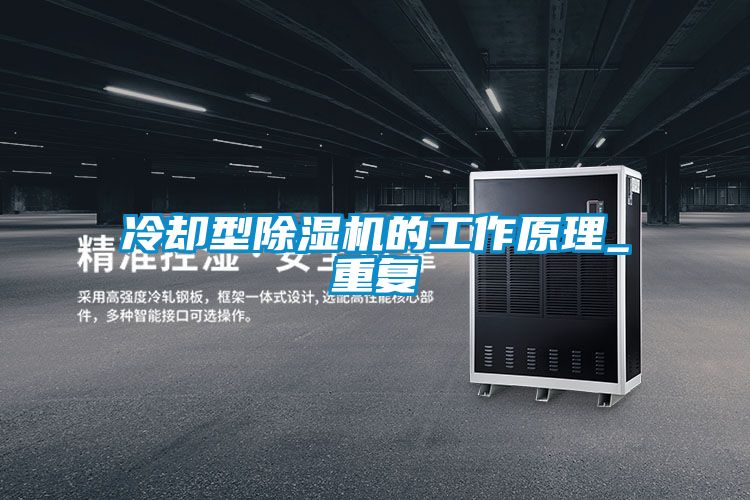 欧美黄色电影在线播放 冷却型除湿机的工作原理_重复
