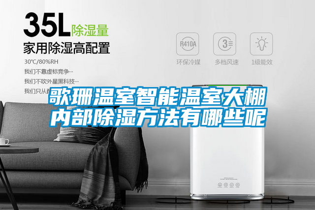 欧美黄色性爱视频网站 歌珊温室智能温室大棚内部除湿方法有哪些呢
