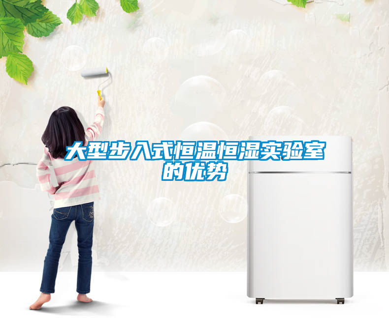 欧美黄色电影在线播放 大型步入式恒温恒湿实验室的优势