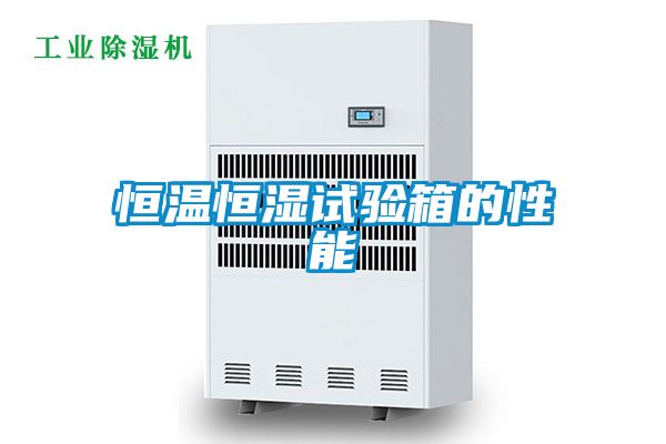 欧美黄色电影在线播放 恒温恒湿试验箱的性能