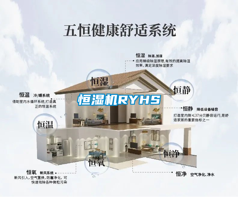 欧美黄色性爱视频网站 恒湿机RYHS