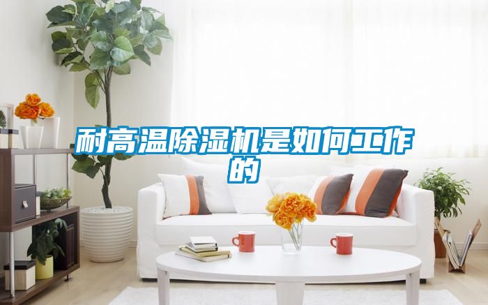 欧美黄色性爱视频网站 耐高温除湿机是如何工作的