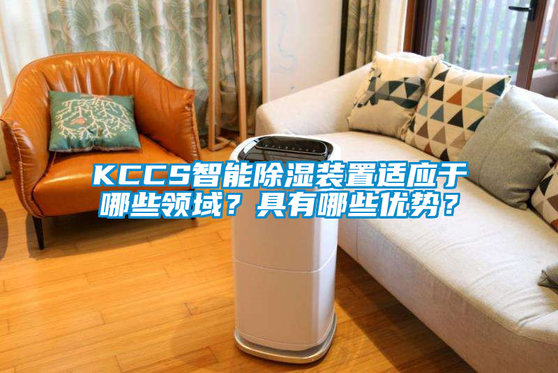 欧美成色手机在线观看 KCCS智能除湿装置适应于哪些领域？具有哪些优势？