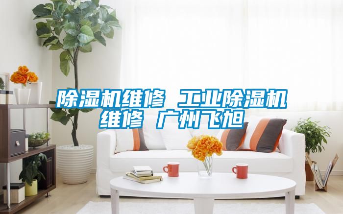 欧美成色手机在线观看 除湿机维修 工业除湿机维修 广州飞旭