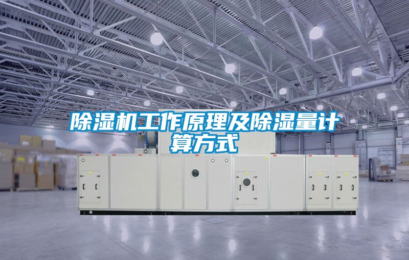 欧美成色手机在线观看 除湿机工作原理及除湿量计算方式